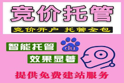 Sem优化公司案例：打造高效广告投放方案